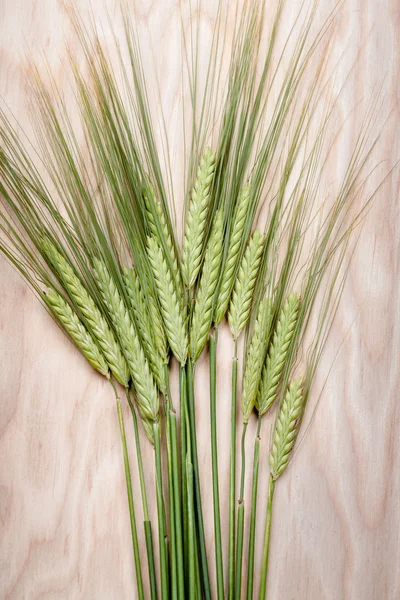 Wheat ear comb — Stock Photo, Image