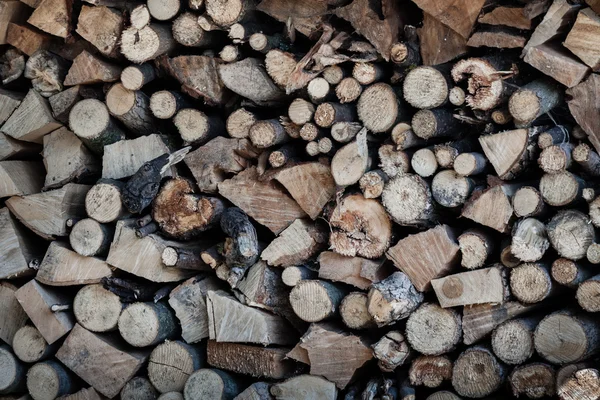 Árvore de madeira seca — Fotografia de Stock