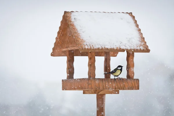 Winter feeder — Stock Photo, Image