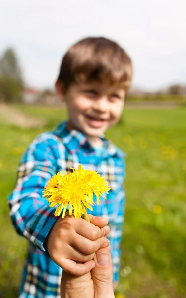 Garçon enfant avec pissenlit sur Prairie jaune — Photo