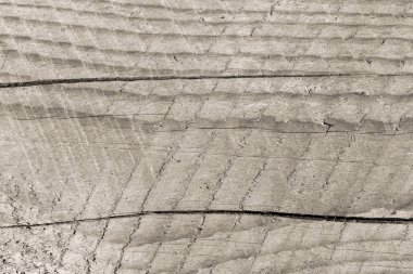 Eski kaba ahşap doku. Doğal ahşap desen