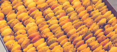 Ev yapımı kurutma makinesinde kurutulmuş meyve pişirme işlemi. Kışın depolama ve tüketim için meyve susuzluğunun aşaması. Bir sürü susuz kayısı..