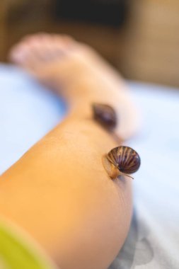 Küçük Achatina salyangozları bir kadının bacağında sürünüyor.