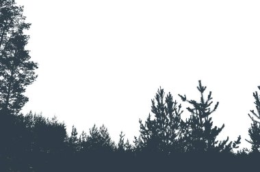 Çam ormanı ve gökyüzünün silueti. Metin için yer