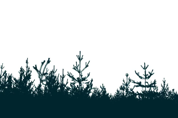 Silueta Borového Lesa Oblohy Místo Pro Text — Stock fotografie