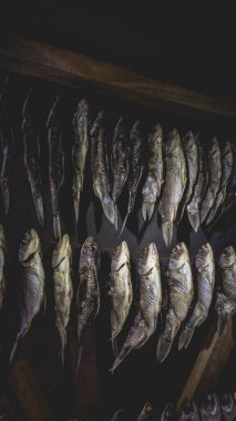 Karanlık bir odada ipte sallanan kuru balıklar. Evde kurutulmuş balık pişirme kavramı.