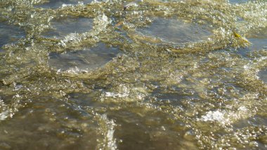 Kışın çamurlu bir gölün kıyısındaki ilk buz. Tasarım için arka plan. Fotoğraf Sovyet manuel lensleriyle çekildi..
