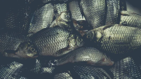 Kupa Martwego Karpia Zlewie Proces Gotowania Potraw Rybnych — Zdjęcie stockowe