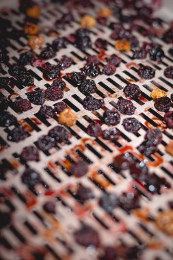 Evdeki elektrikli otomatik kurutucuda kuru kırmızı kiraz, sarı kiraz pişirme süreci..