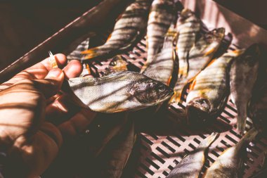 Evde otomatik kurutma makinesiyle kurutulmuş balık hazırlama işlemi.