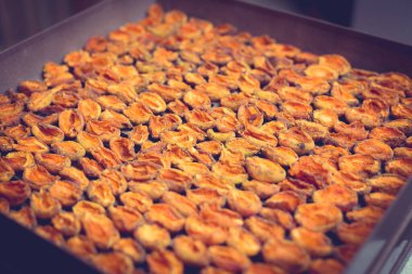 Ev yapımı kurutma makinesinde kurutulmuş meyve pişirme işlemi. Kışın depolama ve tüketim için meyve susuzluğunun aşaması. Bir sürü susuz kayısı..