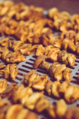 Ev yapımı kurutma makinesinde kurutulmuş meyve pişirme işlemi. Kışın depolama ve tüketim için meyve susuzluğunun aşaması. Bir sürü susuz kayısı..