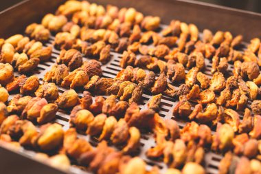 Ev yapımı kurutma makinesinde kurutulmuş meyve pişirme işlemi. Kışın depolama ve tüketim için meyve susuzluğunun aşaması. Bir sürü susuz kayısı..