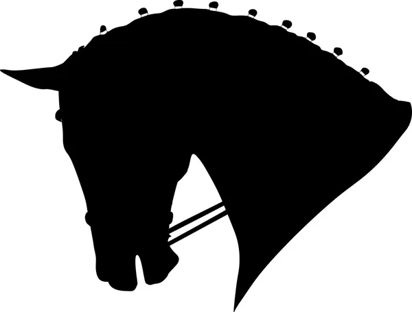 Hästhuvud — Stock vektor