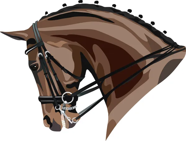 Testa di cavallo — Vettoriale Stock