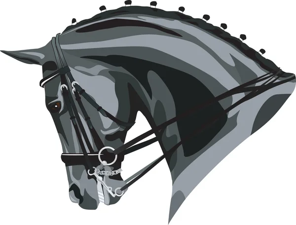 Horse head — Stock Vector