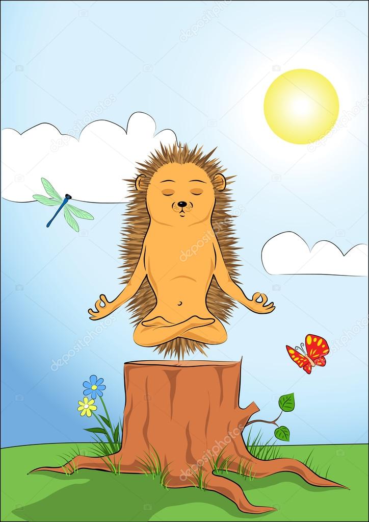 Hedgehog doing yoga-meditation