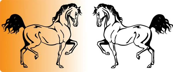 Arabian horse - transparent — Stock vektor