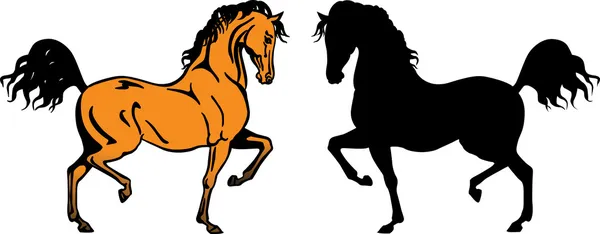 Caballos Árabes Amarillos Y Silhoutte — Vector de stock