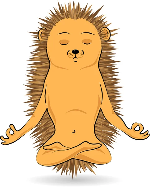 Hedgehog doing yoga-meditation — Stock Vector