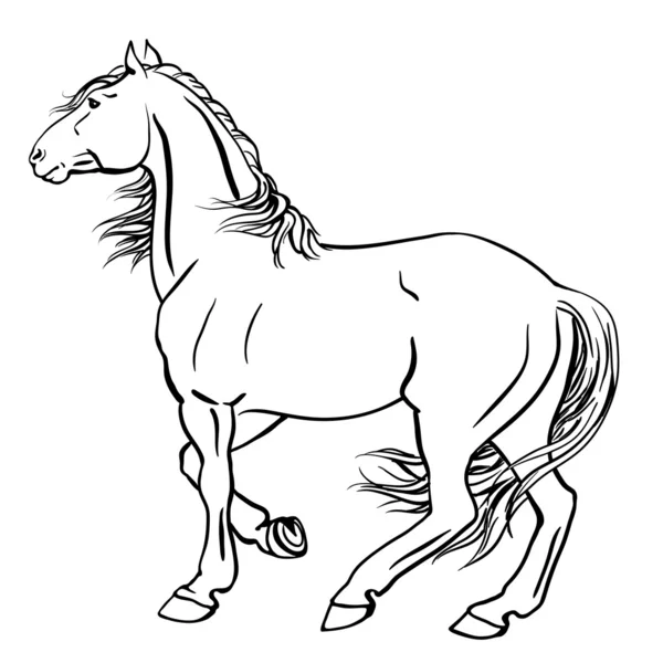 Caballo ponche — Vector de stock