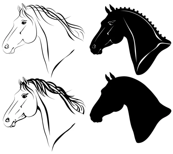 Horse heads set — Stock Vector