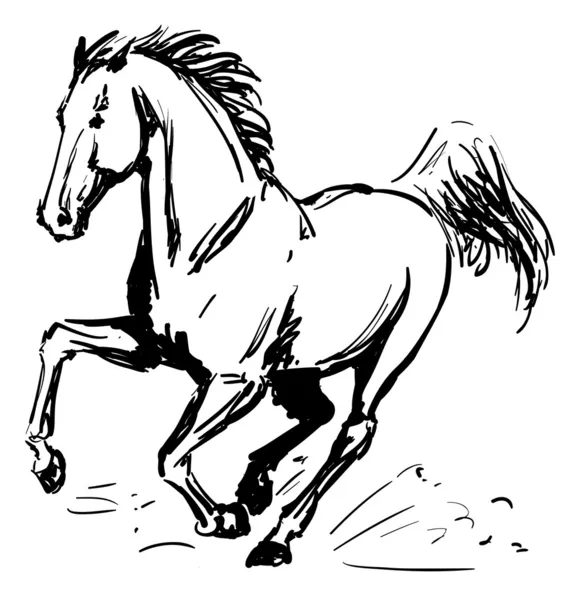 Vágtató ló — Stock Vector