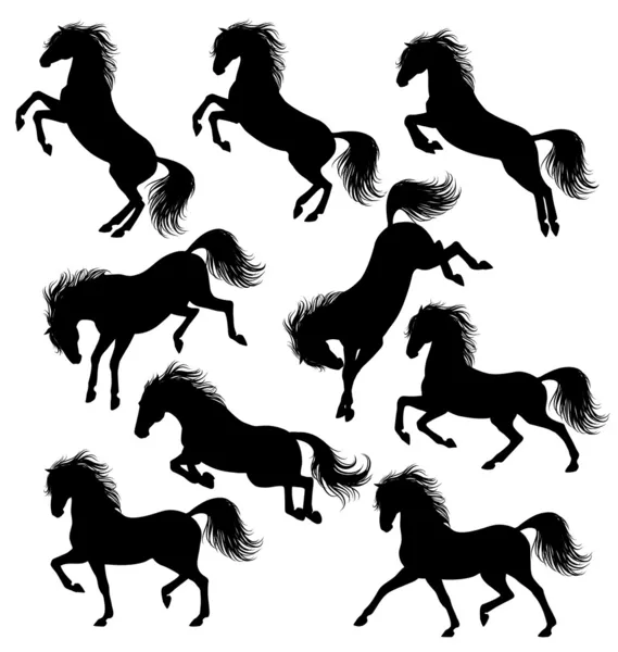 Sylwetki koni — Wektor stockowy