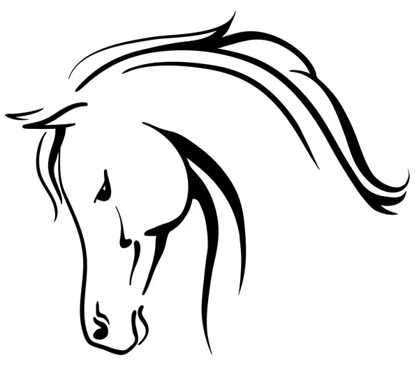 Arabian horse stylised head — Stock Vector