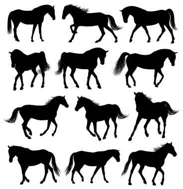 Set of 12 horses silhouettes clipart