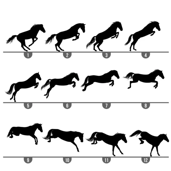 Jumping horse phases — Stock Vector