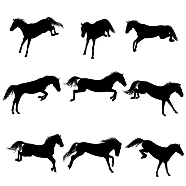 Jumping horses — Stock Vector