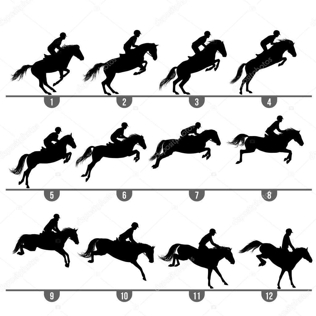 Jumping horse phases