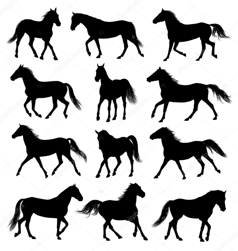 Horse sulhouettes different allures