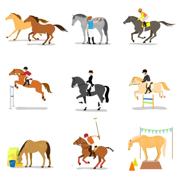 Sports et activités équestres — Image vectorielle