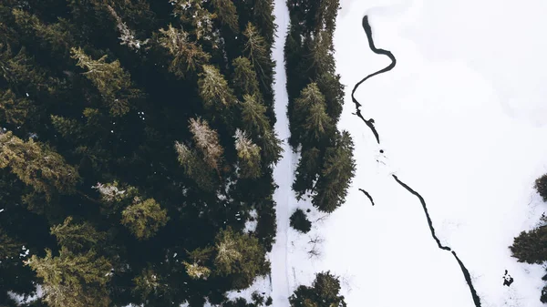 Forest Frozen Lake Winter Top View — Photo