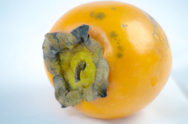 persimmons