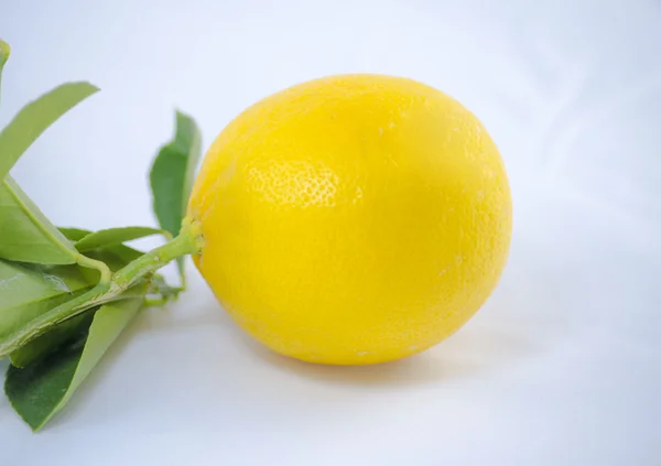Лимон с листом — стоковое фото