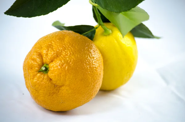 Лимон и мандарин — стоковое фото