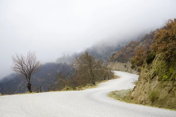 Niebla camino de montaña — Foto de Stock