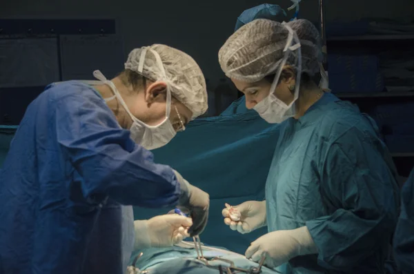 Nöroşirürji işlemi