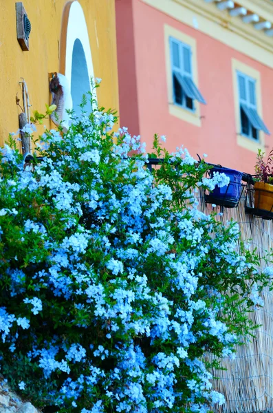 güzel - Fransa evler