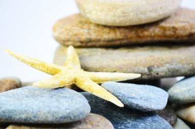 Deniz yıldızı ve kayalar