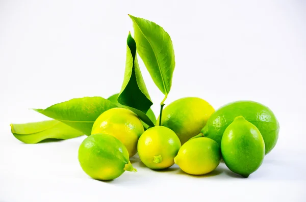 Limones amarillos y verdes — Foto de Stock