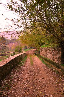 vallende gedroogde bladeren in de herfst