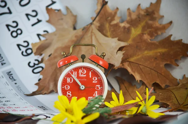 Budzik, kalendarz, suszonych liści, żółte kwiaty i czas — Zdjęcie stockowe