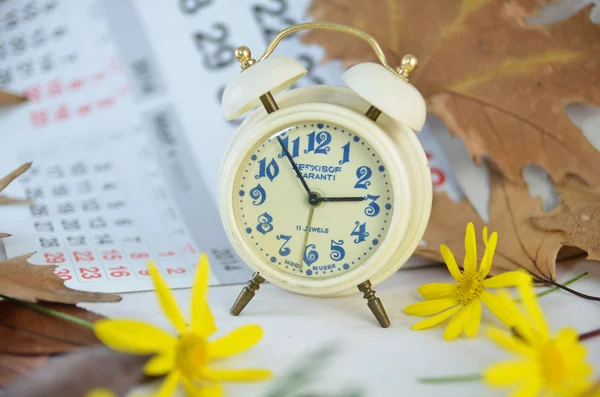 Relógio despertador, calendário, folhas secas, flores amarelas e tempo — Fotografia de Stock