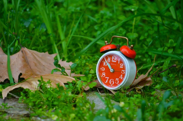 Ancient alarm clocks — Stock Photo, Image