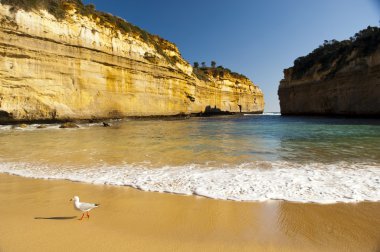 Loch Ard Gorge