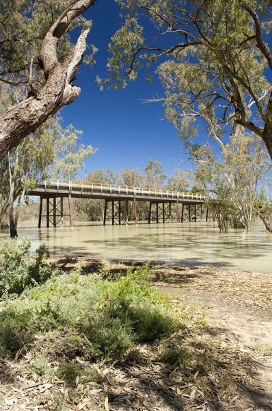 Río Darling, australia — Foto de Stock